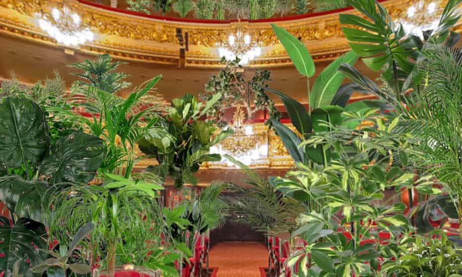 How the plants could look in Barcelona’s Liceu opera house during next week’s Concert for the Biocene.