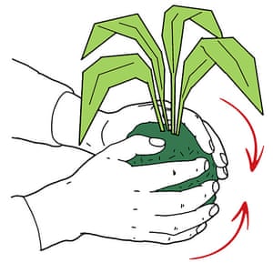 Press the wet moss around the ball by cupping your hands, making a circular shape.