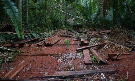 Illegally logged timber in Uru-Eu-Wau-Wau territory in Rondônia state, Brazil.