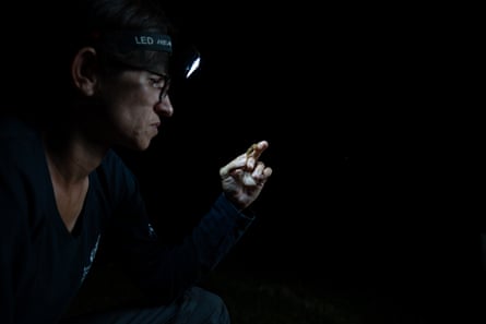 A person wearing a head torch inspects something held in their hands