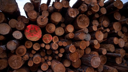 Closeup of a pile of logs
