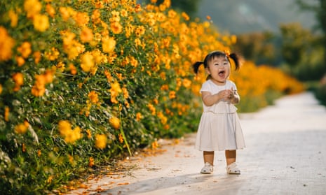Laughing girl in yellow cosmos flower field Ulsan, South Korea