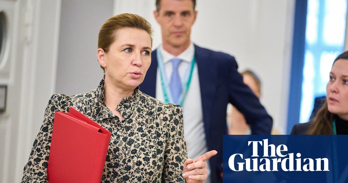 Nato chief cannot negotiate on behalf of Greenland or Denmark, says Danish PM