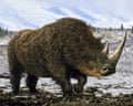 Illustration of a woolly rhino.