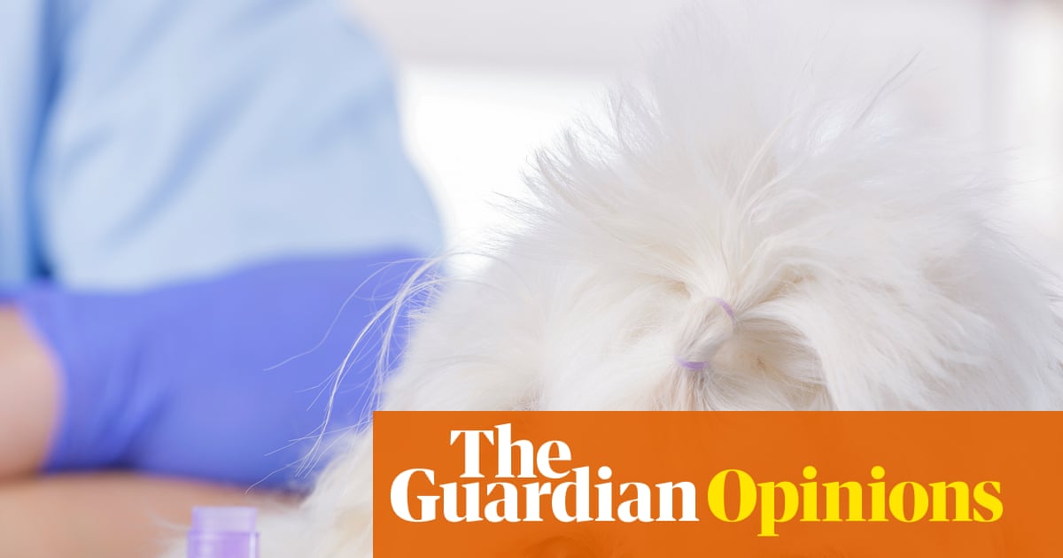 Competition regulator barking up the right tree on vets' opaque pricing