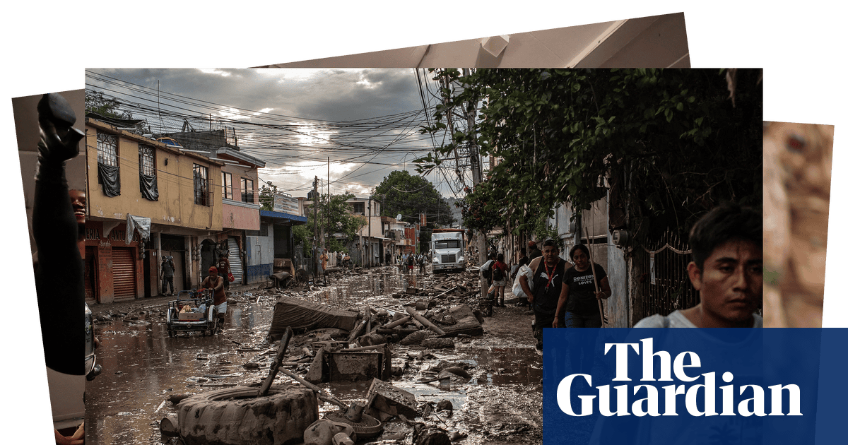 Flood damage, high-kicks and a tiny frog: photos of the day Wednesday