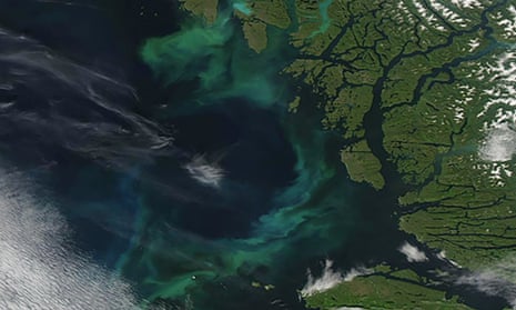 Bright swirls caused by phytoplankton in the deep blue waters off Canada in early July 2023. 