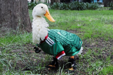 Merlin, the duck donning an 'El Tri' soccer jersey