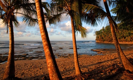 My favourite beach in the world' â€“ readers' tips | Beach holidays | The  Guardian