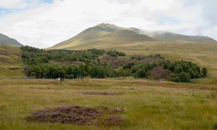 A view of Ben Lawers mountain
