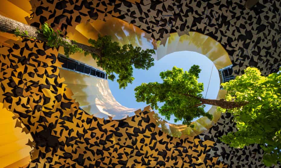 Otherworldly … sycamores rise through the sculpted roof.
