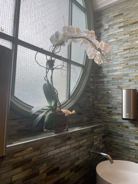 flower against window, over modern-looking sink and soap dispenser