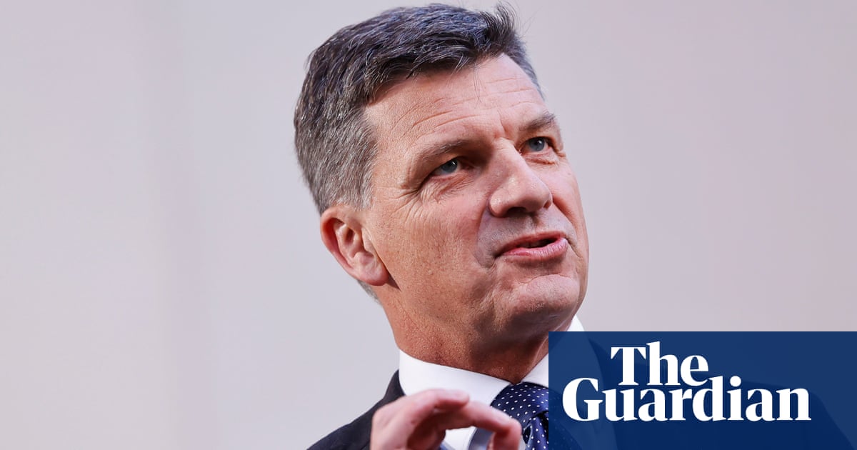 Angus Taylor accused of ‘dog-whistling’ and marginalising immigrants over plan to cut benefits to non-citizens