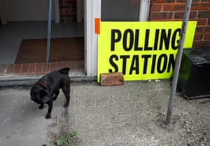 A dog is seen close to a polling station sign in Hastings