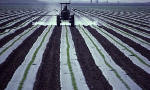 The compounds come from nitrogen-rich fertilisers that are put back into the soil to enhance plant growth.