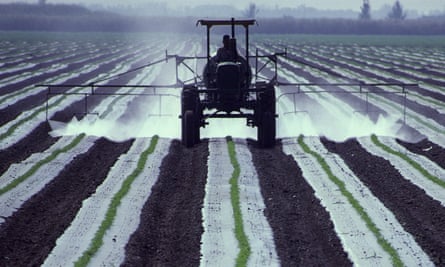 Tractor spraying crops in the field.