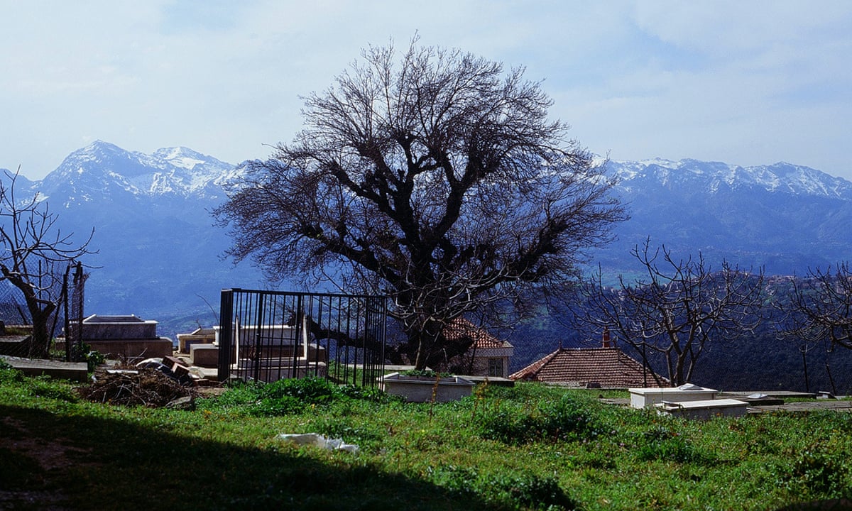 Mariner of the Mountains review – dreamily wonderful Algerian odyssey | Movies | The Guardian