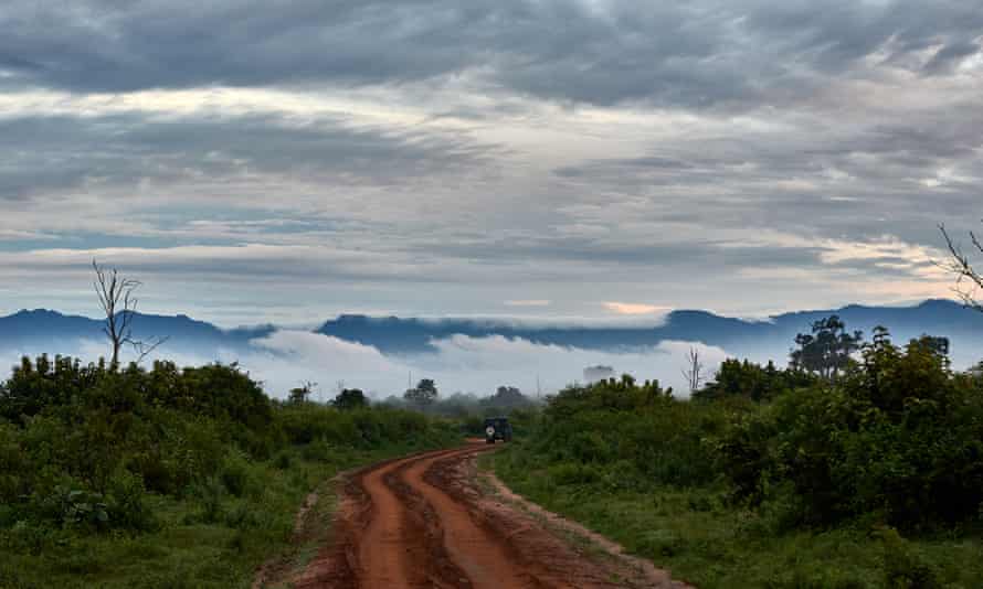 A misty morning in Udawalawe national park.