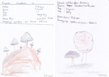 A child's drawings of two different types of fungi with notes