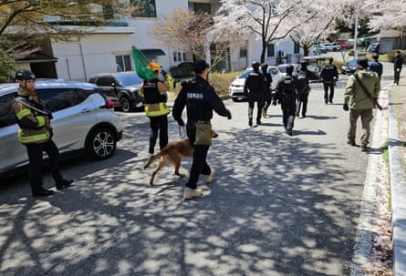 Rescue workers search for a wolf that escaped from a zoo in Daejeon.