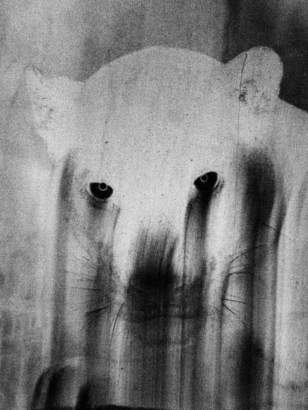 Musuk Nolte’s The Belongings of the Air.