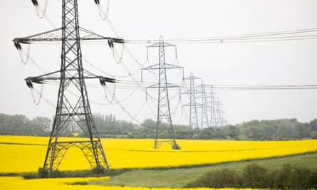 A view of fields growing yellow oil seed rape, broken up by a treeline, with a large run of electricity pylons going through them