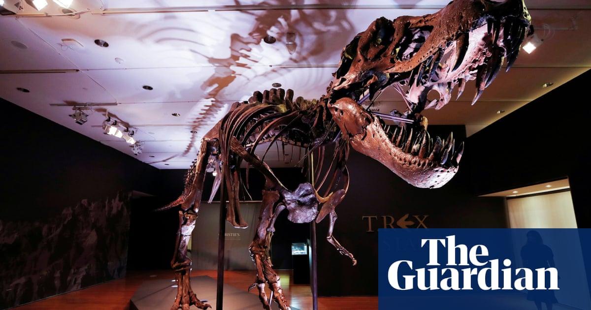 Mystery owner of Stan the T rex finally revealed following $31.8m auction