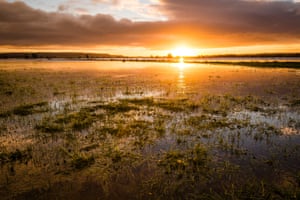 Somerset, UK
Sunrise on a winter’s morning over the flooded Somerset Levels