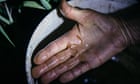Slippery customers: UK rewilding efforts aim to stop eels sliding into extinction