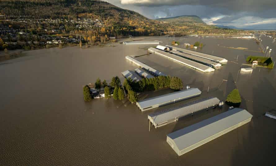 Celeiros parcialmente submersos em Abbotsford, British Columbia