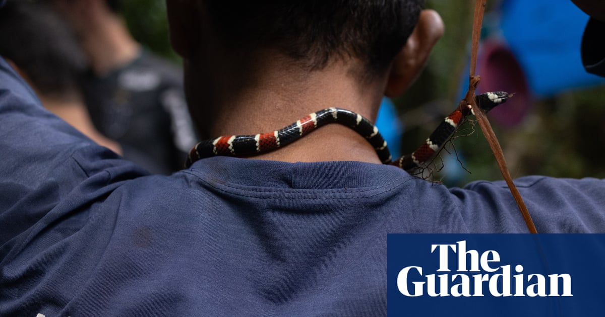 This is my mission, my destiny': a treacherous Amazon journey in the footsteps of Dom Phillips and Bruno Pereira