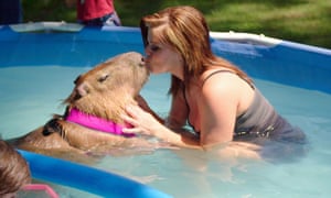 Jackie and Chico the capybara.