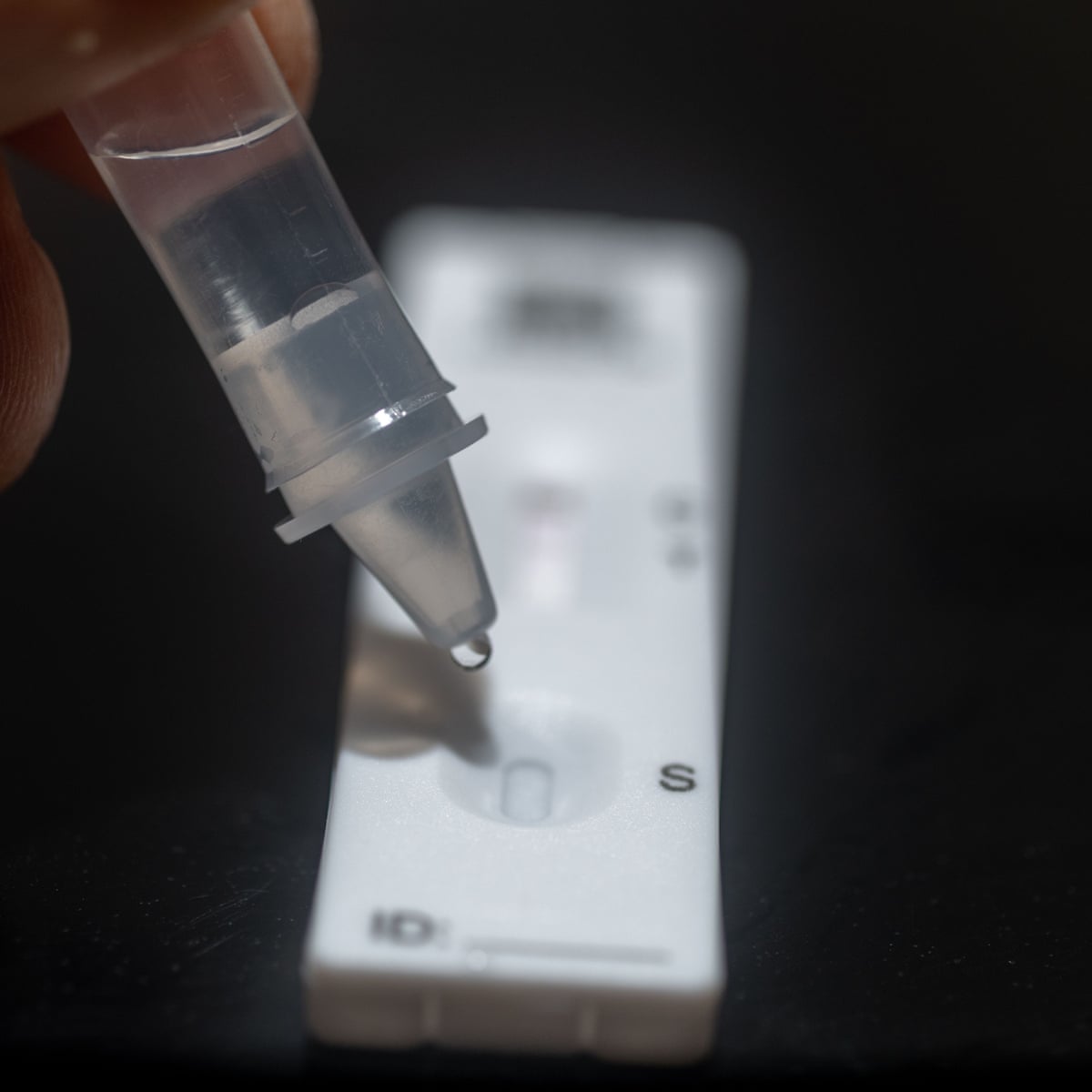 The Rise Of Lateral Flow Tests Are These Heroes Of The Pandemic Here To Stay Coronavirus The Guardian The Rise Of Lateral Flow Tests Are These Heroes Of The Pandemic Here To Stay Coronavirus The Guardian