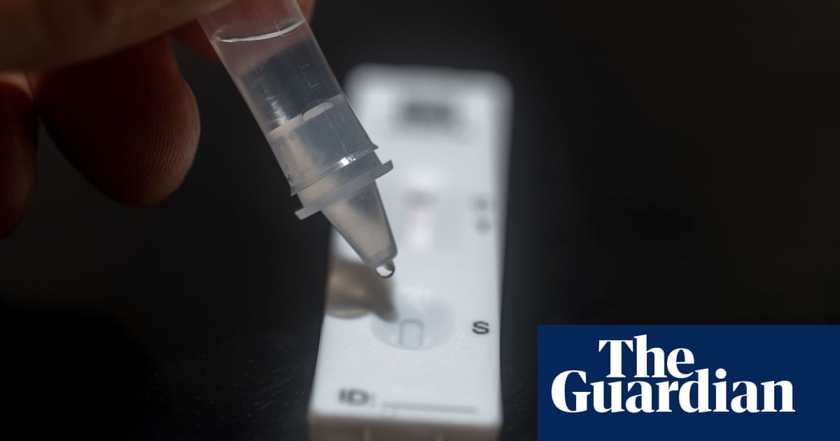 The rise of lateral flow tests: are these 'heroes' of the pandemic here to stay? | Coronavirus | The Guardian