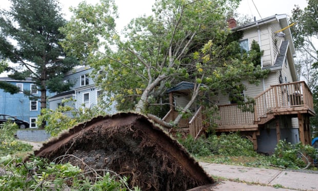 A tree falls on a house in Halifax, Nova Scotia