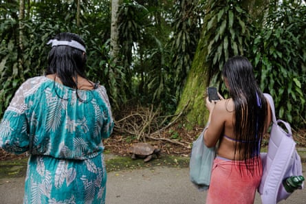 Two women photograph a tortoise on a path next to trees.