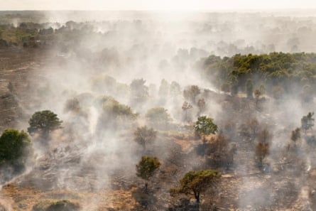 Smoke rises around trees from wildfires near Dunwich Heath in Suffolk.
