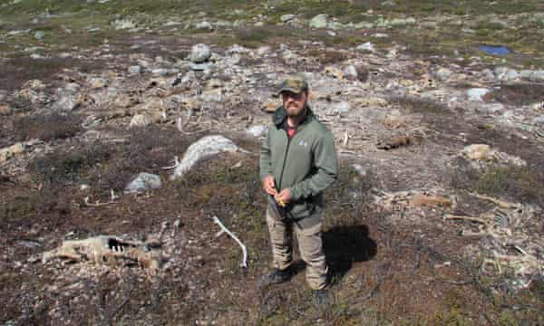Lead researcher Shane Frank on Hardangervidda plateau.