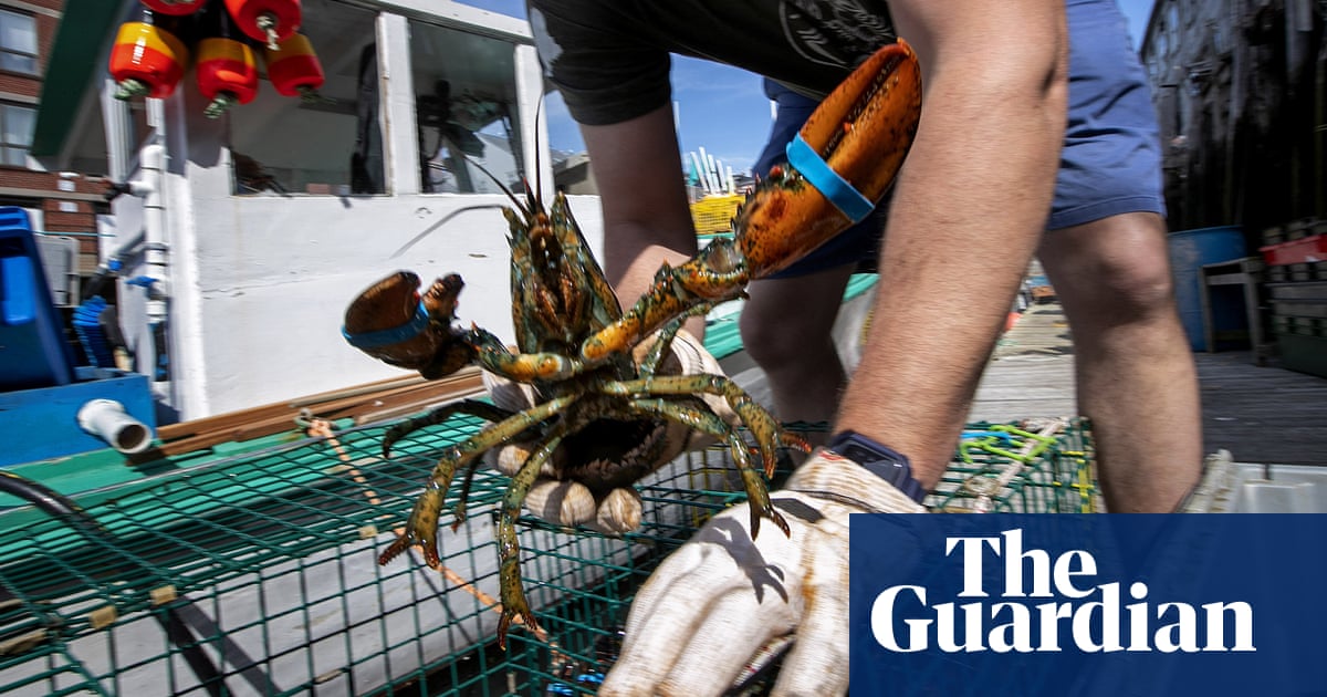 Bisquey business: Maine politicians bemoan China lobster deal flop | Maine | The Guardian