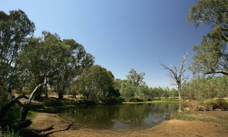 The mighty Murry river in Albury – home to dozens of endangered species of birds and mammals