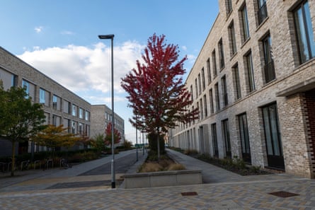 Contemporary, modern architecture at Eddington; mid-rise brick buildings with large windows stand either side of a long courtyard lined with trees and bushes on one side, and with a larger tree with red leaves in the centre. There are bicycles on racks.