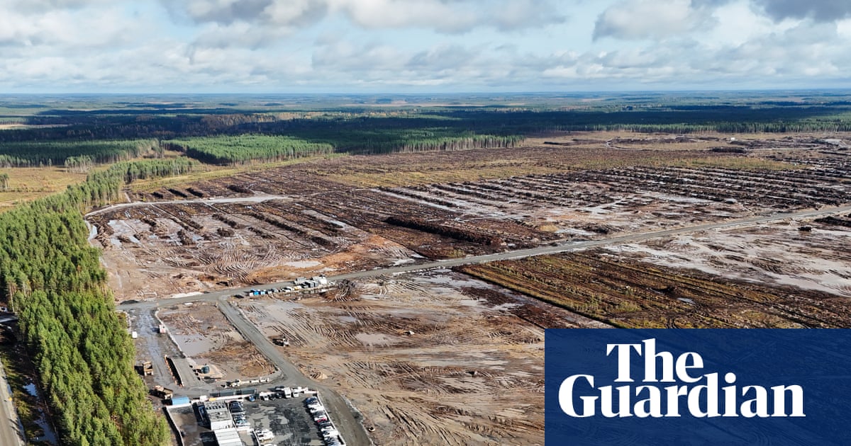 ‘Pure arrogance': anger in Finland as Google illegally fells 250,000 trees for datacentre