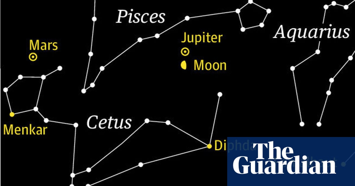 Starwatch: search for gibbous moon just below bright Jupiter