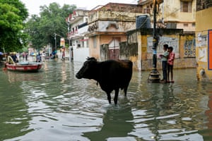A cow stands nearly knee-deep in water on a flooded street as two children look on; two men ride on a small red motorboat in the background
