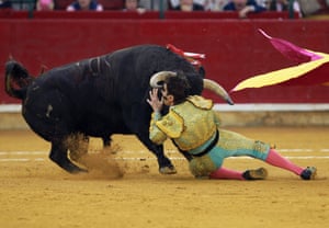 Juan José Padilla is face to face with a bull during the El Pilar Feria at La Misericordia bullring