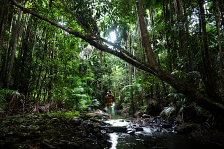 Ecologist Ollie Scully searches through creeks for the spiny crayfish