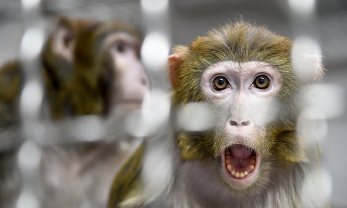 Photo credit Jean-François Monier/AFP/Getty Images; click to access article Photo credit Jean-François Monier/AFP/Getty Images