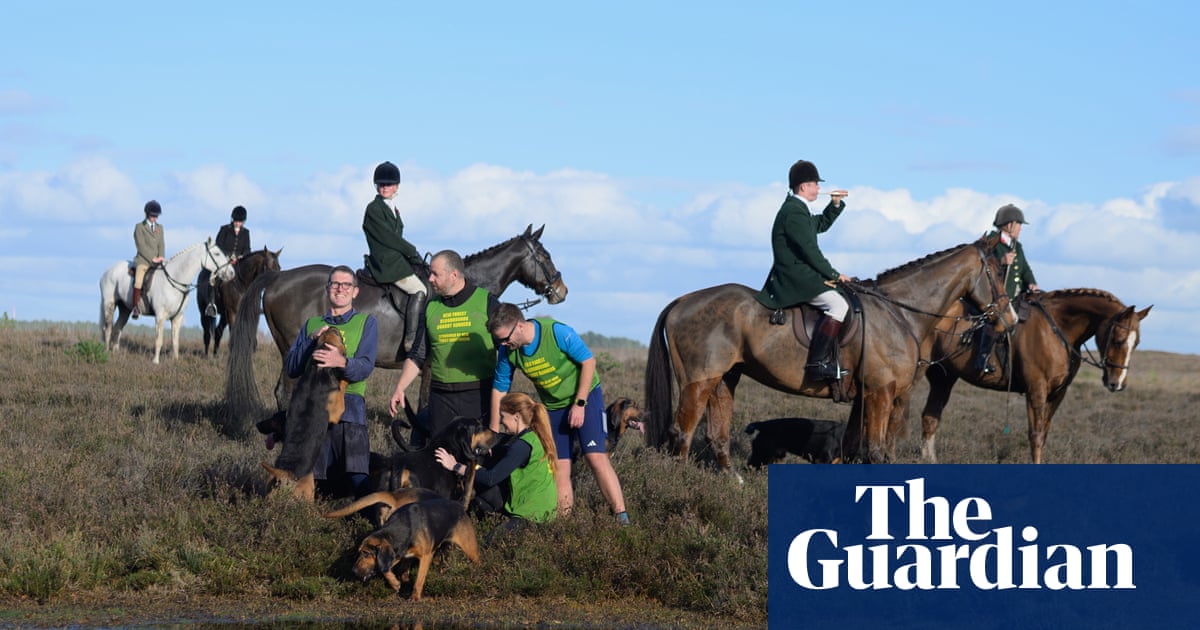 ‘Are they going to eat me alive?’: trail runners become prey in newest form of hunting