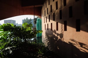 Building with trees