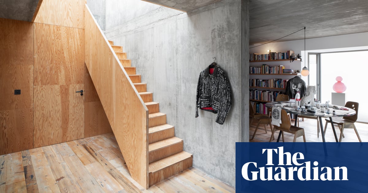 I Had Millions Of Pounds Down My Knickers Artist Sue Webster On Her Fight To New House Art And Design The Guardian Artist Sue Webster On Her Fight To, Baby Mole In Basement